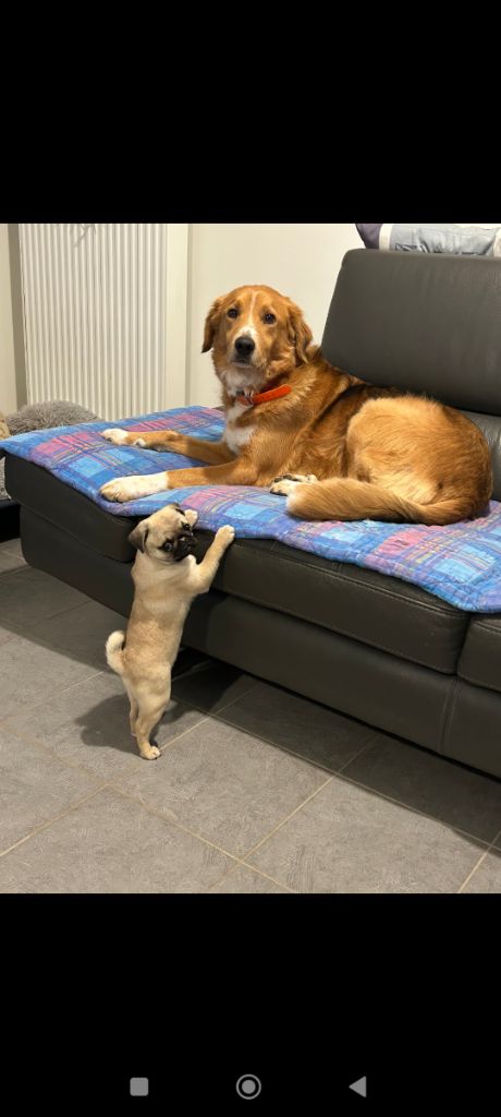 Nos bébés dans leur nouvelle vie